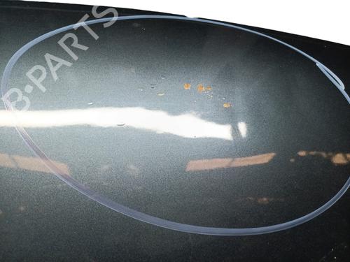 Hood VW GOLF IV (1J1) 1.4 16V | BP27697293C1 
