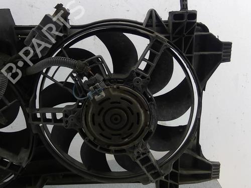 Radiator fan FIAT DOBLO Box Body/MPV (223_) 1.3 D Multijet | BP25089206M35 