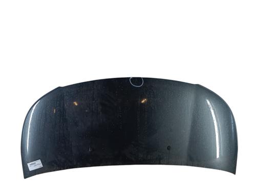 hood-citroen-c3-ii-sc_-2009-25052487 main image