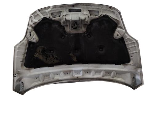 Hood FORD KUGA I 2.0 TDCi | BP28580169C1 