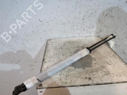 Used Tailgate lift support VW CADDY III MPV (2KB, 2KJ, 2CB, 2CJ) 1.9 TDI (105 hp) 25092093