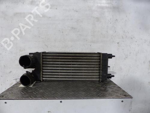 Used Intercooler Intercooler CITROËN C5 III (RD_) 1.6 HDi 110 (RD9HL0, RD9HR8, RD9HRA) (112 hp) 25091237 25091237