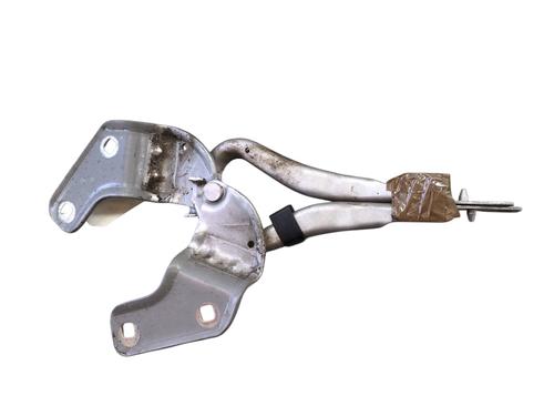 Used Hinge/Door check strap Hinge/Door check strap RENAULT CLIO III (BR0/1, CR0/1) 1.2 16V Hi-Flex (BR1U, CR1U) (75 hp) 33307944 33307944
