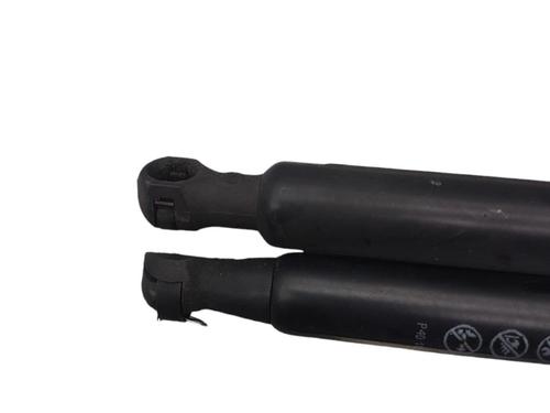 Used Tailgate lift support RENAULT SCÉNIC III (JZ0/1_) 1.9 dCi (JZ0J, JZ1J, JZ1K, JZ1S) (131 hp) 25073093