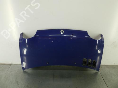 Used Hood RENAULT TWINGO I (C06_) 1.2 (C063, C064) (55 hp) 25088768