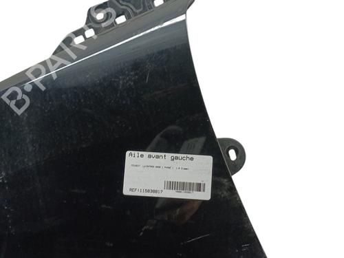 Left front fenders PEUGEOT 3008 I MPV (0U_) 1.6 HDi | BP30536241C41