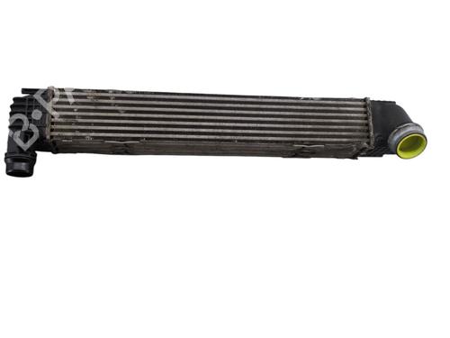 Intercooler RENAULT MEGANE III Coupe (DZ0/1_) 2.0 dCi (DZ0L) | BP29611993M30 