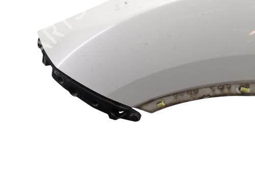 Used Left front fenders NISSAN JUKE (F15) 1.5 dCi (110 hp) 29940335