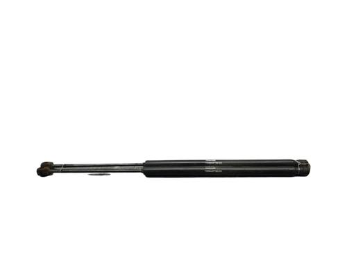 Tailgate lift support FIAT QUBO (225_) 1.3 D Multijet (225CXB1A, 225AXB1A, 225CXB11, 225AXB11,... | BP25077306C138