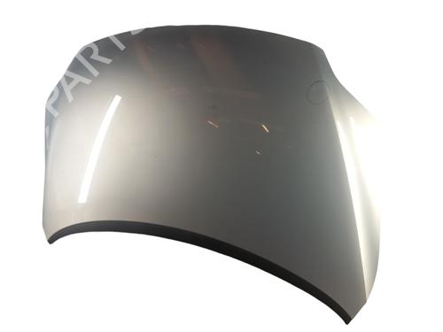 Hood VW GOLF V (1K1)  | BP25055066C1 