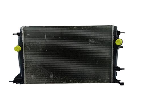 Køler RENAULT SCÉNIC III (JZ0/1_) 1.6 dCi (JZ00, JZ12) (130 hp) 25071841