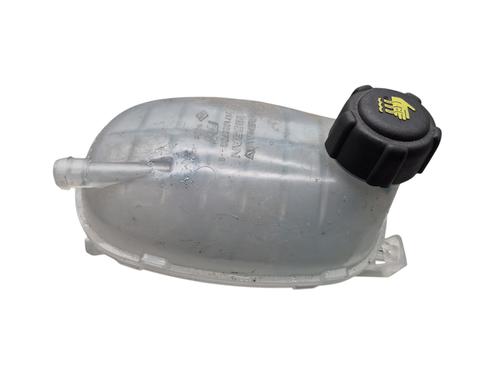 expansion-tank-renault-arkana-i-lcm_-ldn_-2019-25057248 main image