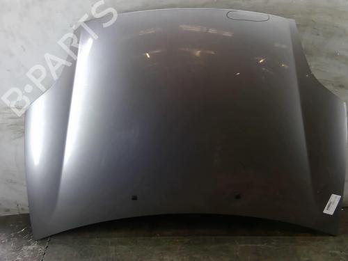 Used Hood FIAT BRAVO II (198_) 1.6 D Multijet (198AXH1B) (105 hp) 25110582