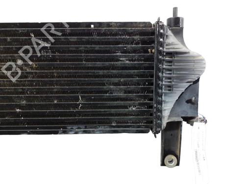 Intercooler NISSAN PATHFINDER III (R51)  | BP25100049M30 