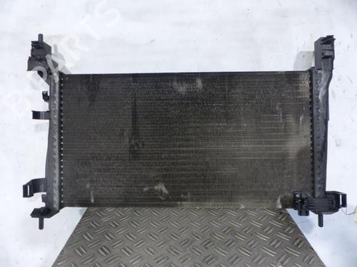 Used Water radiator Water radiator CITROËN NEMO Box Body/MPV (AA_) [2008-2026] 25065310 25065310