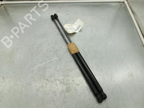 tailgate-lift-support-audi-a4-b8-avant-8k5-2007-2008-2009-2010-2011-2012-2013-2014-2015-2016-2017-25077970 main image