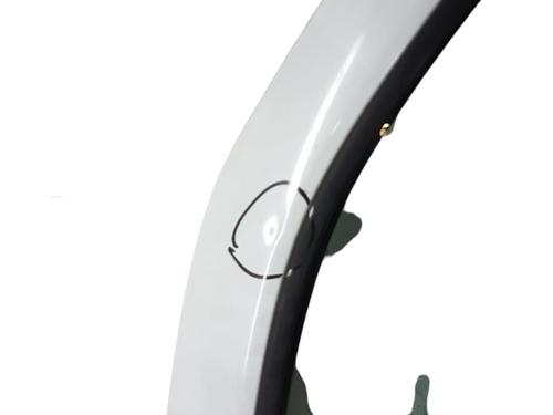 Used Right front door RENAULT CLIO II (BB_, CB_) [1998-2016]  25058320