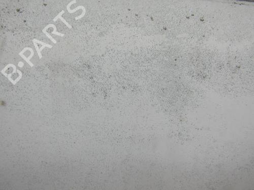 Hood RENAULT RAPID Box Body/MPV (F40_, G40_)  | BP25094451C1