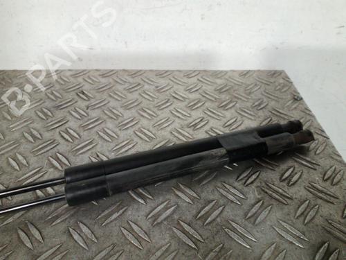 Tailgate lift support RENAULT CLIO IV (BH_) 1.5 dCi 75 | BP25105069C138 