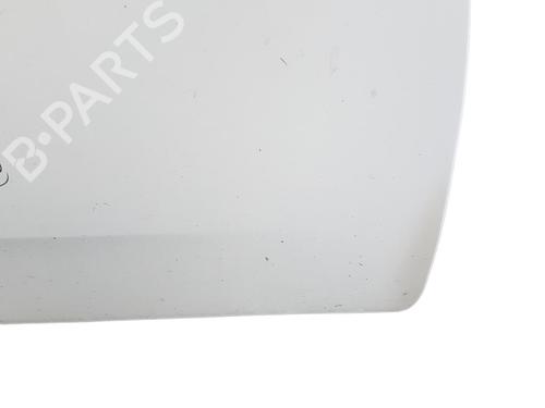 Right front door FIAT GRANDE PUNTO (199_)  | BP25054211C3 