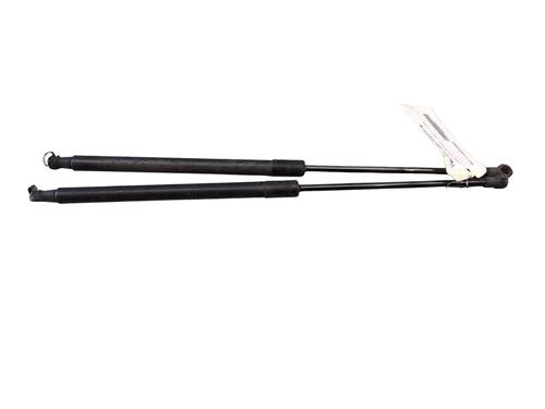 Used Tailgate lift support NISSAN QASHQAI / QASHQAI +2 I (J10, NJ10, JJ10E) 1.5 dCi (106 hp) 28048462