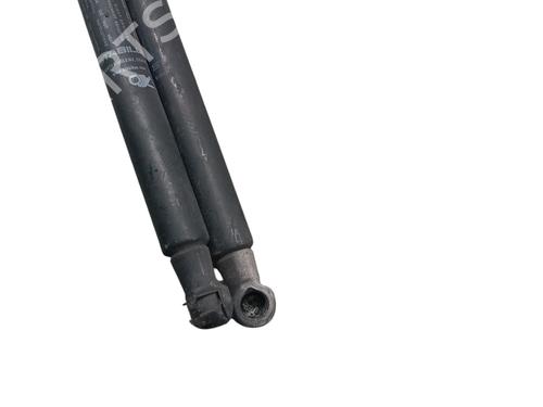 Used Tailgate lift support FIAT PUNTO (199_) 1.4 Multi Air (105 hp) 31213941