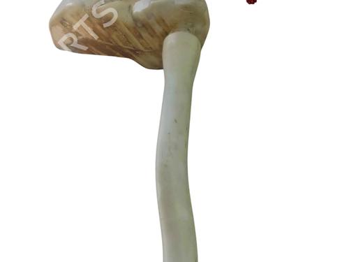 windscreen-washer-tank-renault-master-iii-van-fv-2010-25060929 main image