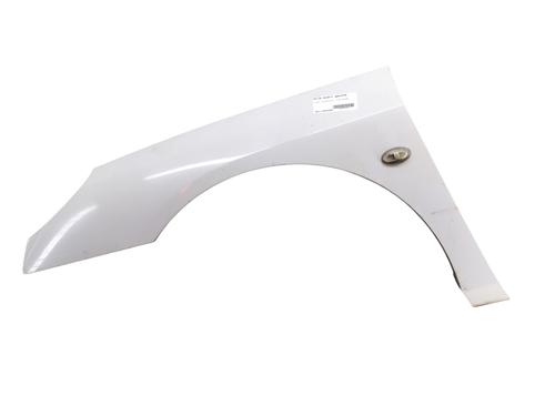 Left front fenders PEUGEOT 407 (6D_) 2.0 HDi 135 (6DRHRH, 6DRHRE, 6DRHRG, 6DRHRJ) | BP31267277C41