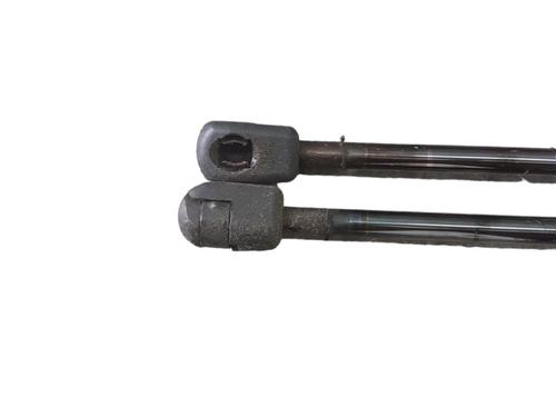 Used Tailgate lift support RENAULT SCÉNIC II (JM0/1_) 1.6 16V (JM1R) (112 hp) 25053874