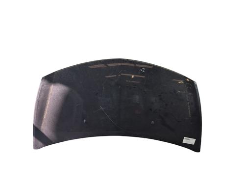 Used Hood RENAULT CLIO III (BR0/1, CR0/1) 1.5 dCi (C/BR0G, C/BR1G) (68 hp) 25735920