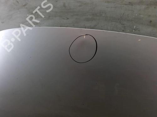 Hood RENAULT SCÉNIC III (JZ0/1_) 2.0 dCi (JZ0Y, JZ26) | BP25110599C1 