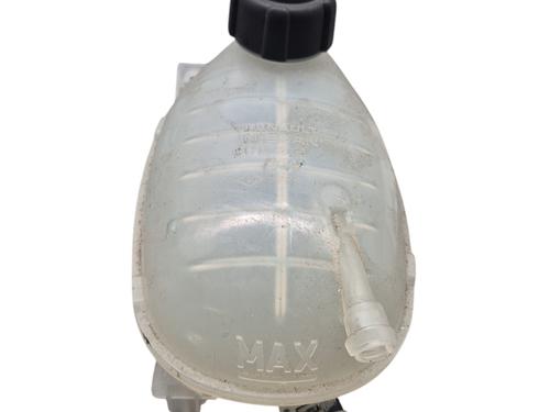 Used Expansion tank RENAULT ARKANA I (LCM_, LDN_) 1.3 TCe 140 (LDN0) (140 hp) 25057562