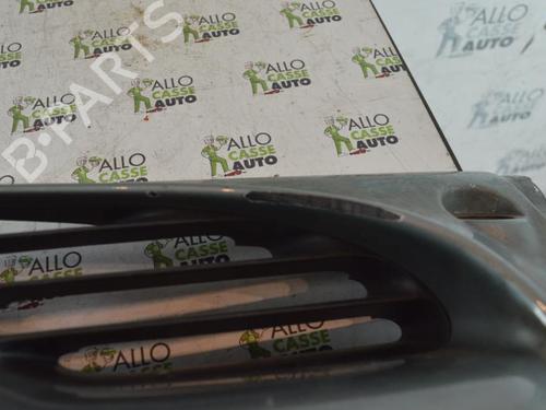 Grill Grill RENAULT MEGANE Scenic (JA0/1_) [1996-2001] 25087023 25087023