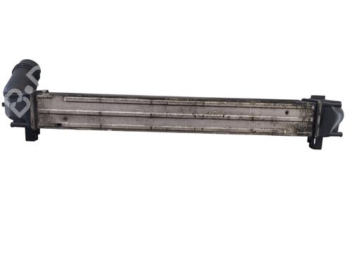 Used Intercooler Intercooler RENAULT MEGANE III Hatchback (BZ0/1_, B3_) 1.5 dCi (BZ09, BZ0D, BZ1W, BZ29, BZ14) (110 hp) 29431049 29431049