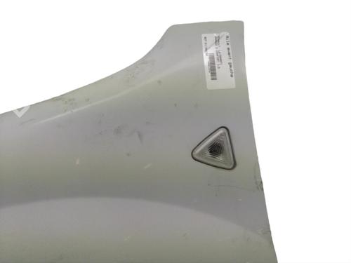 Used Left front fenders RENAULT KANGOO Express (FW0/1_) 1.5 dCi 70 (FW0A, KW0V) (68 hp) 25088577
