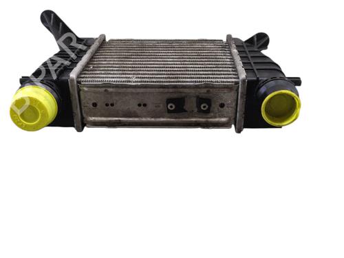 Intercooler RENAULT MODUS / GRAND MODUS (F/JP0_) 1.5 dCi 75 | BP29612002M30 