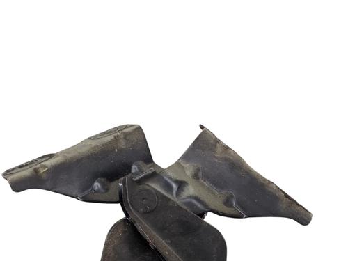 Hinge/Door check strap NISSAN QASHQAI I (J10, NJ10) 2.0 | BP30677166C146 