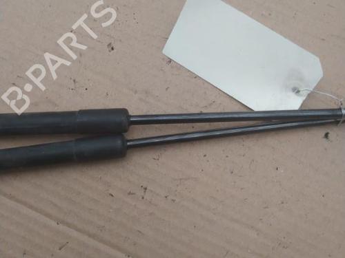 Used Tailgate lift support NISSAN QASHQAI / QASHQAI +2 I (J10, NJ10, JJ10E) 1.5 dCi (110 hp) 25101269