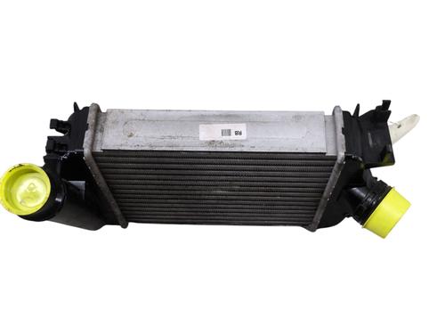 Intercooler RENAULT CLIO V (B7_) 1.0 TCe 100 (B7MT) | BP30819936M30 