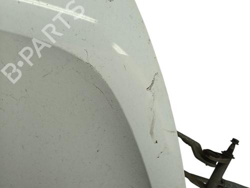 Hood RENAULT MASTER III Van (FV) 2.3 dCi 130 FWD (FV0M, FV0Y, FV0J, FV02, FV03) | BP29513782C1 