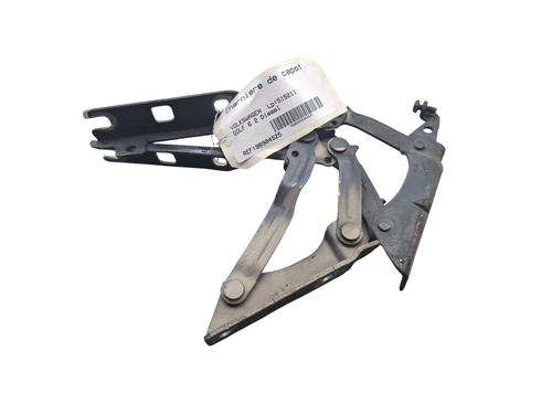 Used Hinge/Door check strap VW GOLF VI (5K1) 2.0 TDI (170 hp) 25072196