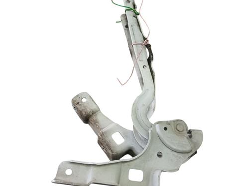 hingedoor-check-strap-citroen-ds4-nx_-2011-2012-2013-2014-2015-32185608 main image