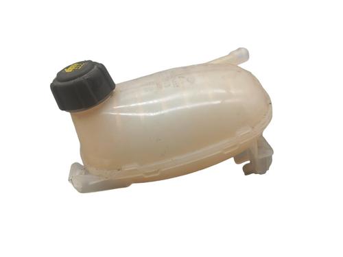 Used Expansion tank RENAULT CLIO V (B7_) 1.0 TCe 100 (B7MT) (101 hp) 25054000