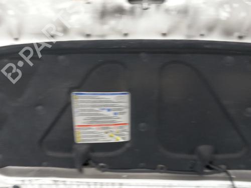 Hood FIAT DOBLO Box Body/MPV (223_)  | BP25102794C1 