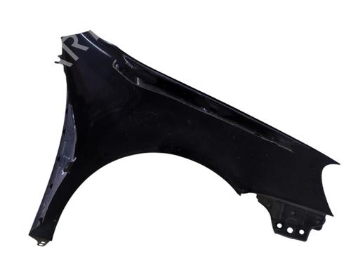 Left front fenders VW GOLF V (1K1) 1.6 | BP29560619C41 