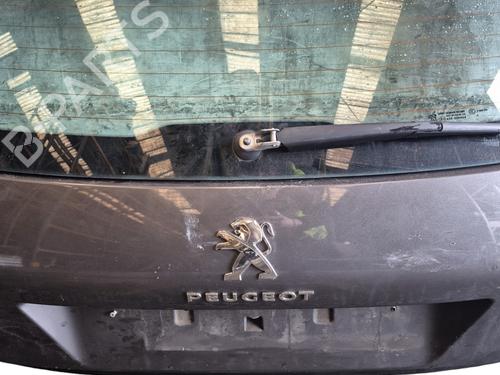 Tailgate PEUGEOT 308 II (LB_, LP_, LW_, LH_, L3_) 1.6 BlueHDi 120 | BP25097962C6 