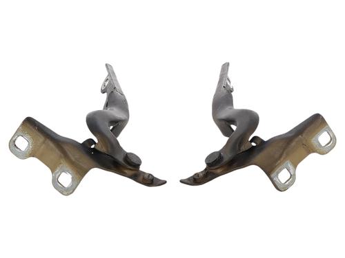 hingedoor-check-strap-citroen-c-elysee-dd_-2012-36421257 main image