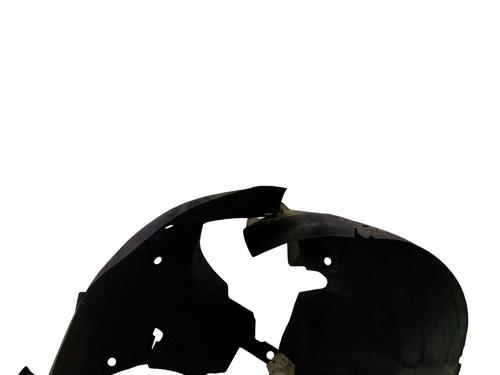 Wheel arch RENAULT CLIO III (BR0/1, CR0/1) 1.5 dCi (C/BR0G, C/BR1G) | BP29189261C56 