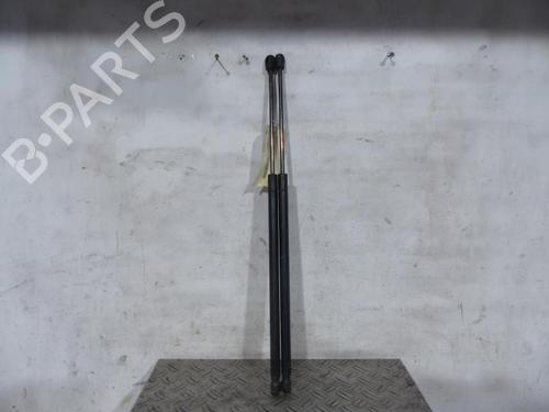 Used Tailgate lift support FORD FIESTA V (JH_, JD_) 1.4 TDCi (68 hp) 25107404