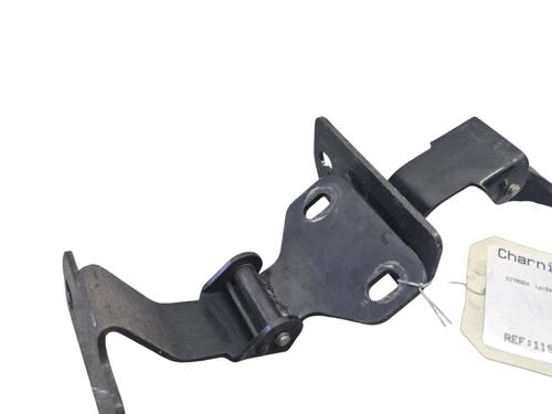 hingedoor-check-strap-citroen-e-mehari-2016-32001840 main image